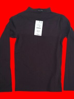 Zara Size L BROWN Mock Neck Top, NWT Shirt, Long Sleeved